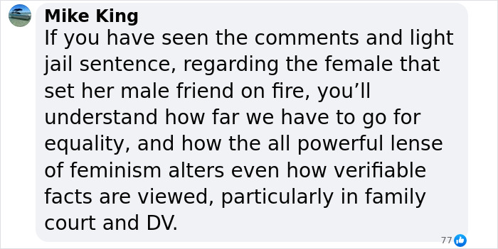 Comment on social media discussing domestic violence and equality related to women committing domestic violence as much as men.