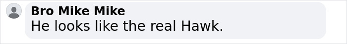 Comment box with the text He looks like the real Hawk and a grey user icon on the left.