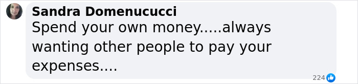 Comment by Sandra Domenucucci criticizing spending habits, discussing expenses and financial responsibility on social media.