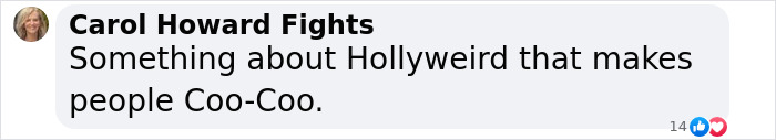 Comment from Carol Howard expressing opinion about Hollyweird and people acting irrationally.