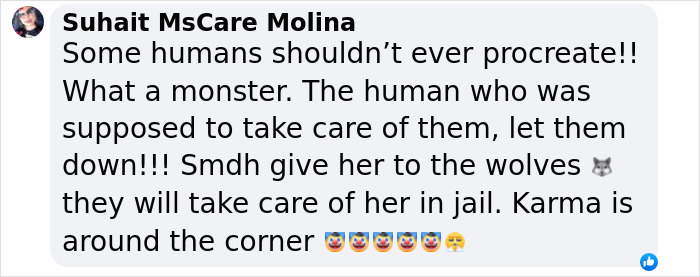 Comment expressing anger at a mom who locked 7-year-old starving child in closet and never reported missing 2-year-old.