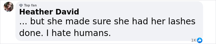 Comment by Heather David expressing disgust, mentioning lashes done, related to mom who locked 7YO starving child in closet case.