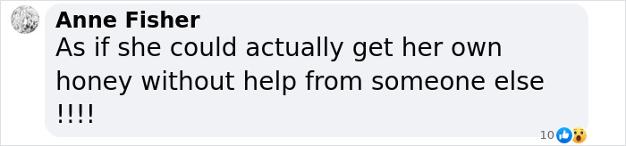 Comment from Anne Fisher expressing doubt about someone getting honey without help in a beekeeping discussion. Comment from Anne Fisher expressing doubt about someone getting honey without help in a beekeeping discussion.