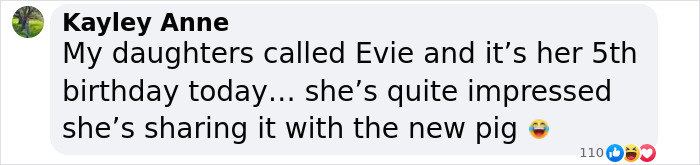 Comment about Kayley Anne’s daughter Evie on her 5th birthday sharing excitement about the new pig, related to Peppa Pig’s mummy pig giving birth. Comment about Kayley Anne’s daughter Evie on her 5th birthday sharing excitement about the new pig, related to Peppa Pig’s mummy pig giving birth.
