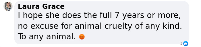 Comment from Laura Grace expressing hope the woman faces 7+ years in prison for animal cruelty and torture on camera.