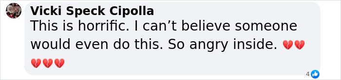 Facebook comment expressing horror and anger over animal torture for social media likes, with multiple broken heart emojis.