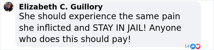 Comment by Elizabeth C. Guillory demanding prison time for woman torturing animals for social media likes.