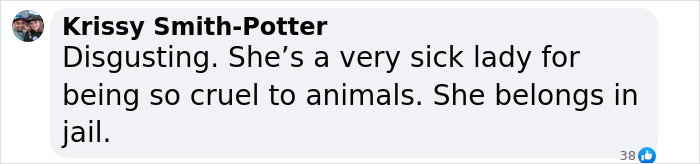 Comment stating a woman is sick and cruel for torturing animals, saying she belongs in jail.