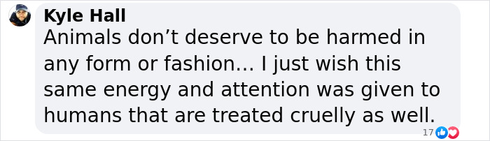 Comment by Kyle Hall expressing concern about animal cruelty and the need for attention to human abuse cases.