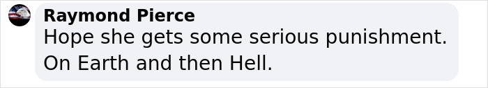 Comment by Raymond Pierce expressing hope for serious punishment for woman facing prison time for torturing animals on camera.