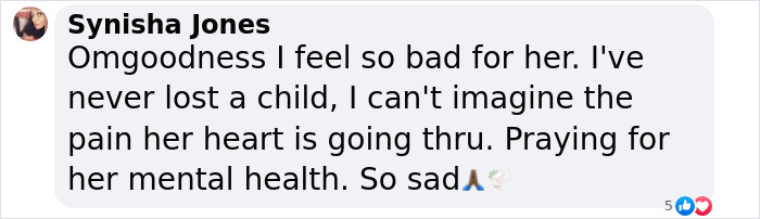 Comment expressing sympathy for a desperate mom raising funds to freeze her 13-year-old son's body after his suicide. Comment expressing sympathy for a desperate mom raising funds to freeze her 13-year-old son's body after his suicide.