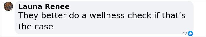 Comment by Launa Renee expressing concern about a wellness check amid alleged victim disappearance in Diddy case.