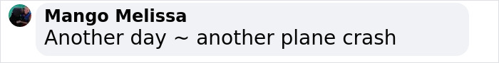 Comment by Mango Melissa reading Another day ~ another plane crash on a social media post about a famous drummer plane crash.