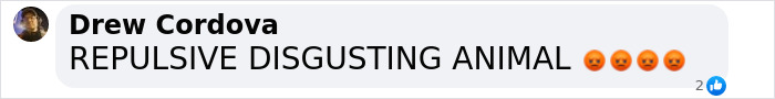 Comment on social media post with angry emojis expressing disgust toward person being discussed in a toddler blood-related controversy.