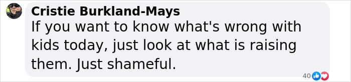 Comment from social media user expressing disappointment about parenting in relation to traumatic brawl at kindergarten graduation.