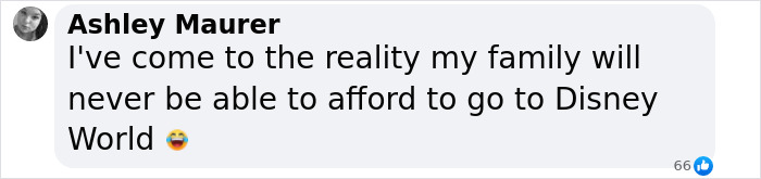 Comment about family trip affordability showing concern over the price of a one-day Disney World visit. Comment about family trip affordability showing concern over the price of a one-day Disney World visit.