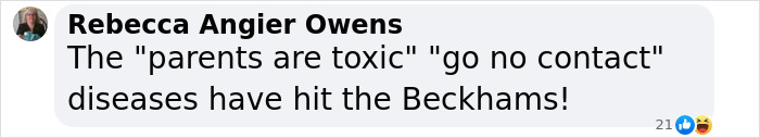 Comment by Rebecca Angier Owens discussing the toxic family dynamics and go no contact issues affecting the Beckhams.