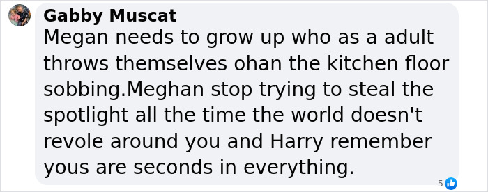 Comment criticizing Meghan Markle, referencing emotional clash with Kate Middleton and spotlight struggles involving Harry.