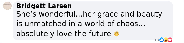 Screenshot of a social media comment discussing Kate Middleton's portrait editing with focus on a right hand belonging to a male.