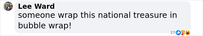 Comment by Lee Ward saying someone should wrap this national treasure in bubble wrap, emphasizing David Attenborough nearing end of life warning.
