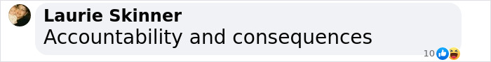 Comment by Laurie Skinner saying Accountability and consequences in a social media post about punishment fitting the crime controversy.