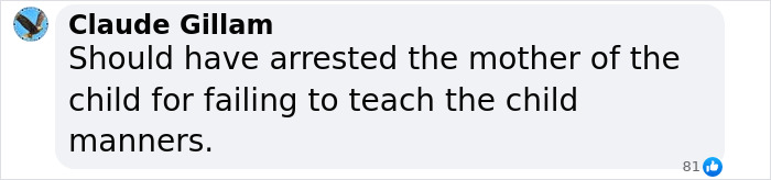 Passenger Arrested For Attacking Kid On Flight After He Called Her "Fat" And "Miss Piggy"