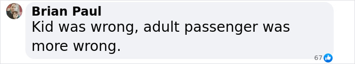 Passenger Arrested For Attacking Kid On Flight After He Called Her "Fat" And "Miss Piggy"