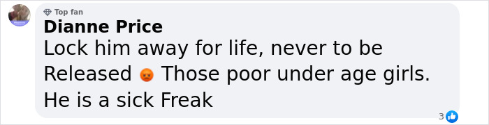 Comment on social media by Dianne Price expressing anger and calling for locking criminals up amid a star-studded party trial.
