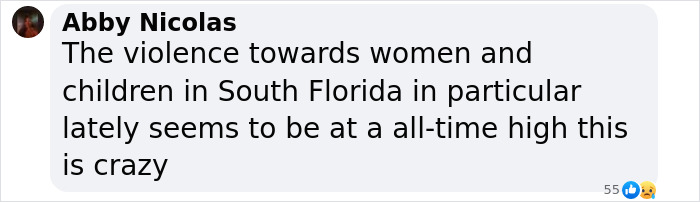 Comment by Abby Nicolas discussing rising violence towards women and children in South Florida shown in a social media post.