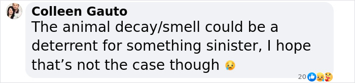 Screenshot of a Facebook comment discussing concerns about animal decay as a possible deterrent in a missing teen case. Screenshot of a Facebook comment discussing concerns about animal decay as a possible deterrent in a missing teen case.