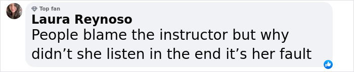 Comment by Laura Reynoso discussing blame and instructions related to the army pilot moments before the horrific DC plane crash.