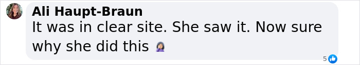 Comment by Ali Haupt-Braun expressing confusion about a clear sighting related to a plane crash incident.