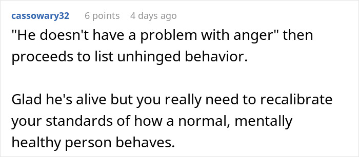 Screenshot of a Reddit comment discussing unhinged behavior and mental health standards in relationship planning context.