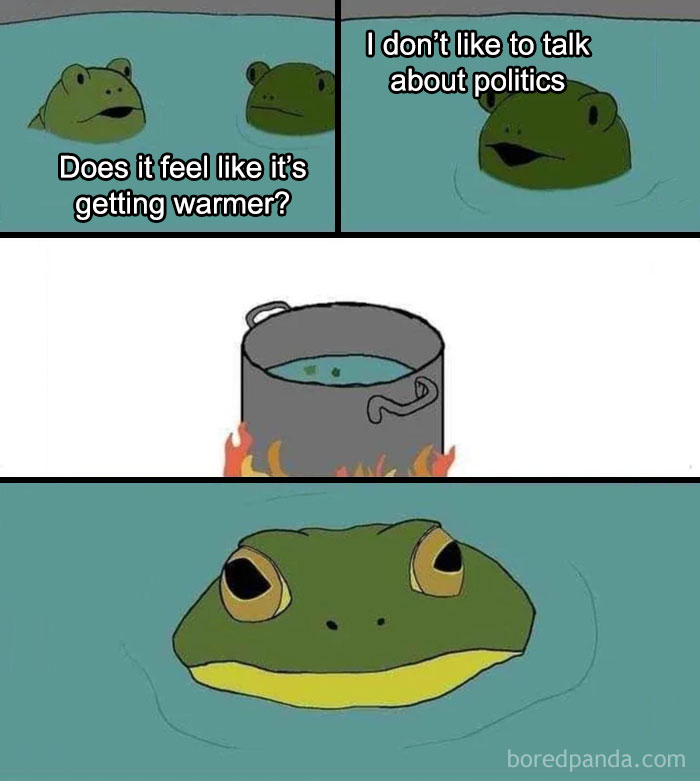 Two frogs in a pot of boiling water, illustrating a metaphor for gradual change in a random Gen-Z memes style.