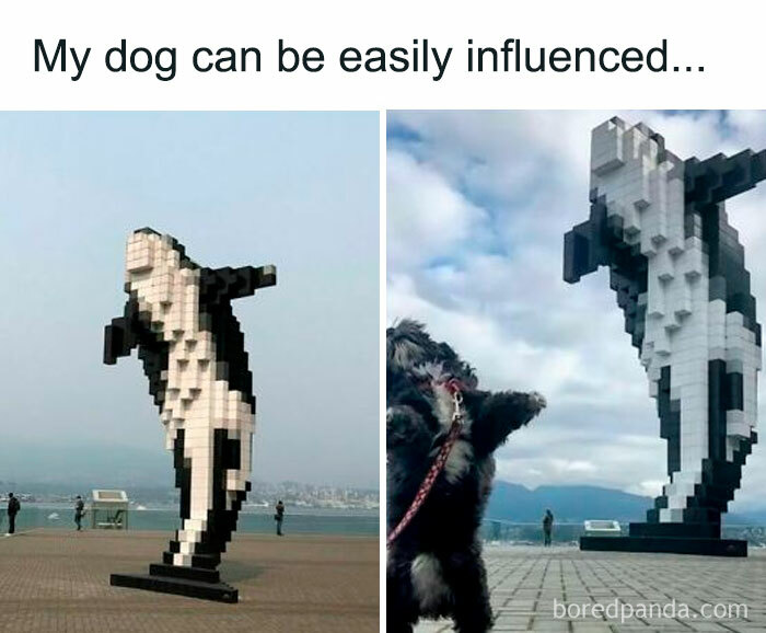 Dog mimicking a large pixelated orca statue, capturing a funny relatable moment about barely holding it together.