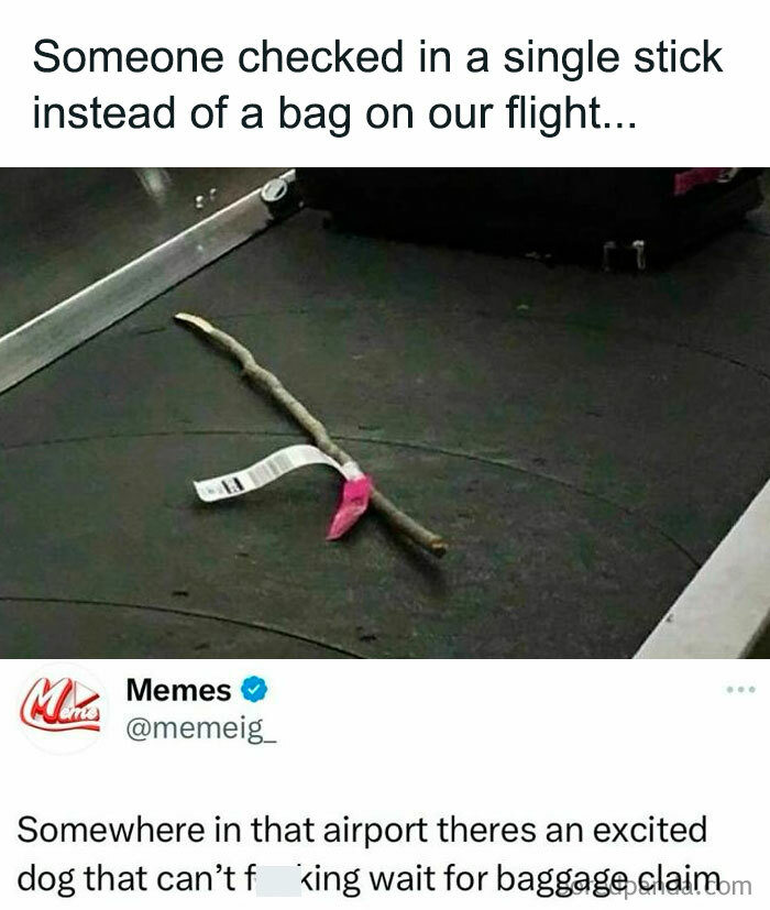 A single stick with a luggage tag on an airport conveyor belt, illustrating funny posts about barely holding it together.