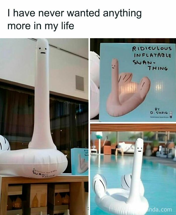 Inflatable swan pool float with a funny expression, showcasing humorous posts about barely holding it together.
