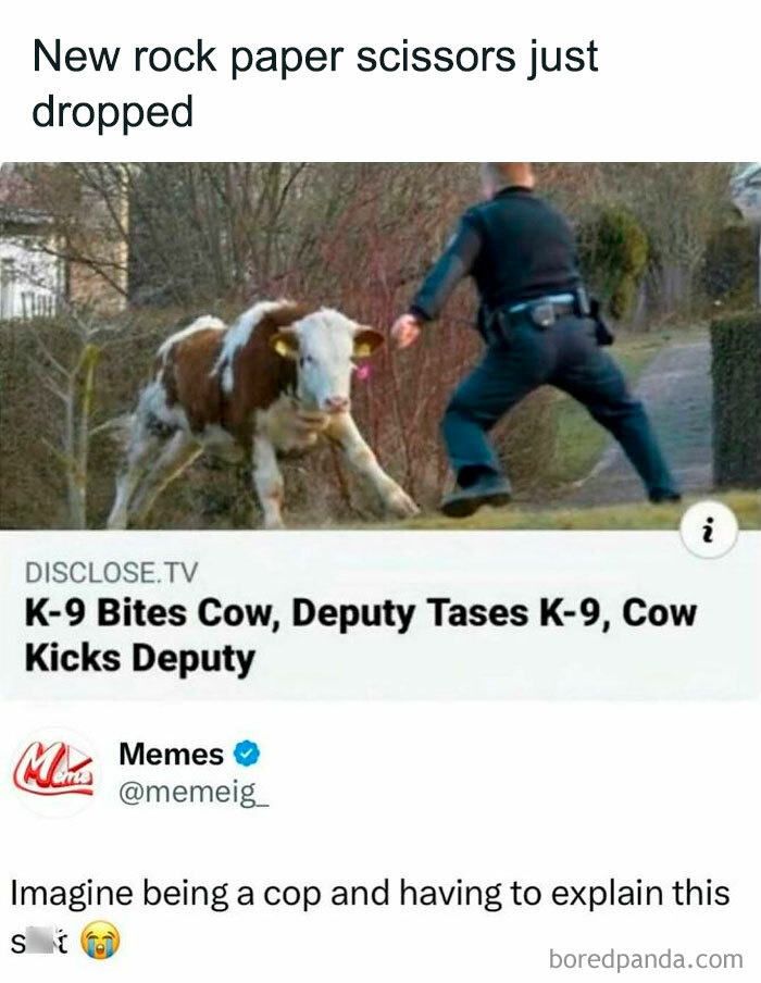 Funny post showing a deputy, K-9, and cow incident illustrating everyone’s barely holding it together humorously.