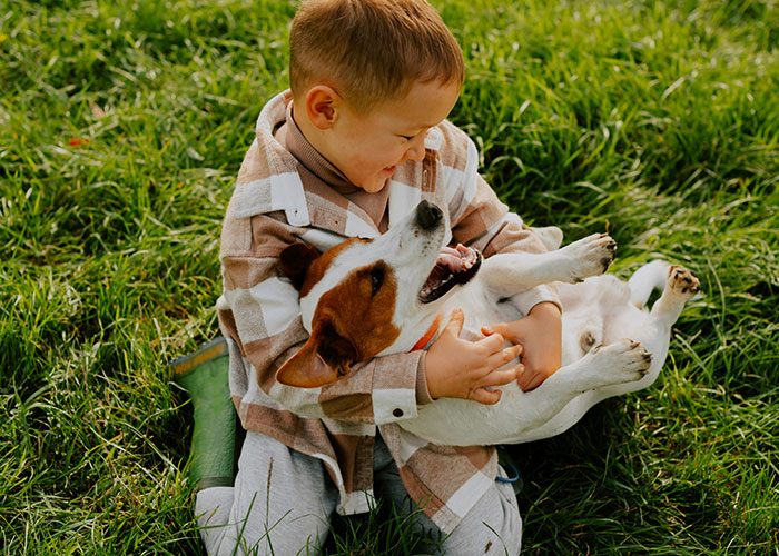 Cat Teaches Aggressive Child Not To Hurt Animals After Parents Failed To Do So