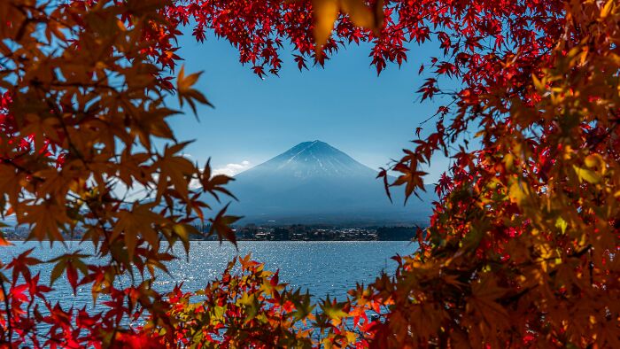 Mount Fuji framed by autumn leaves in vibrant red and orange, showcasing one of the must-see wonders of the world.