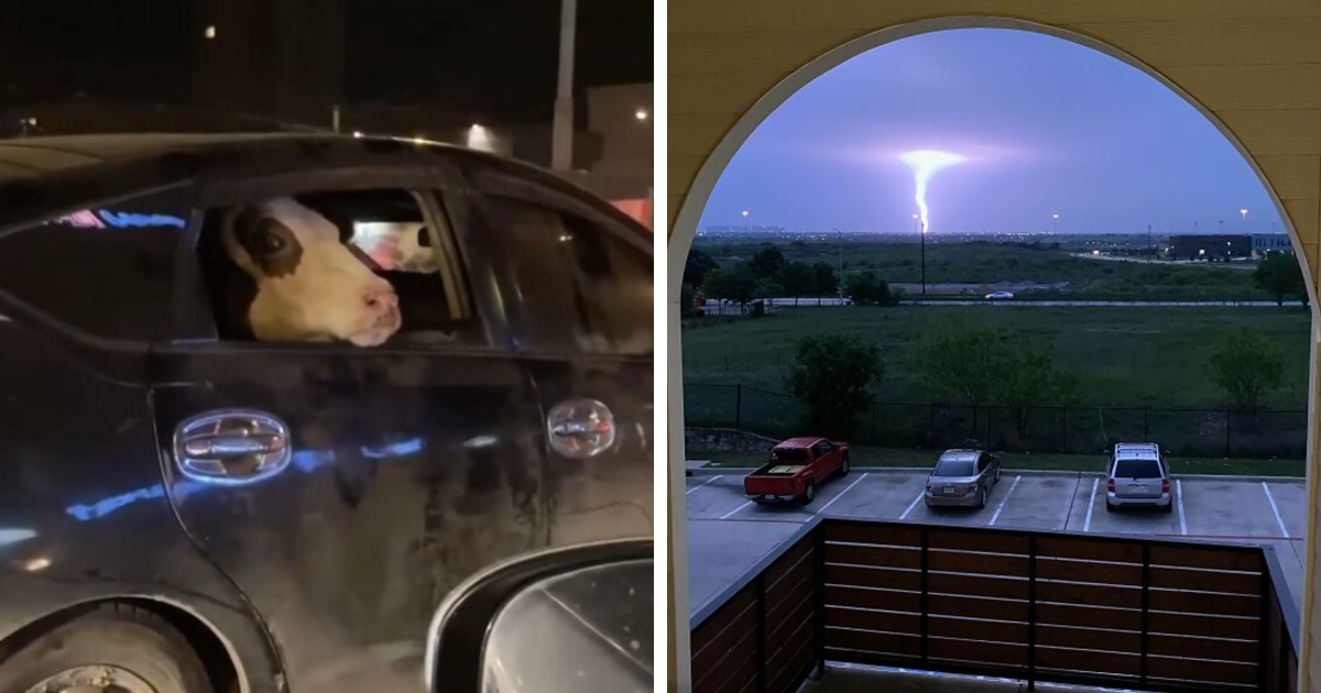 38 Coincidencias increíbles que casi nunca ocurren