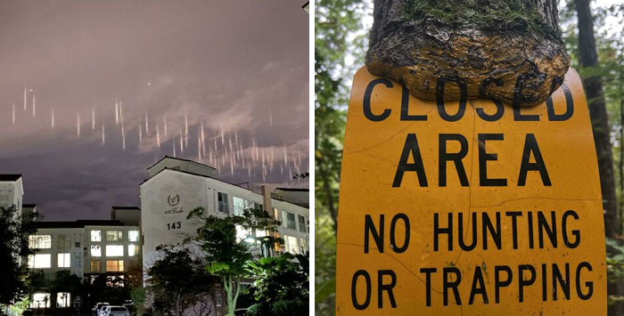 50 One-In-A-Million Coincidences That Are Hard To Believe