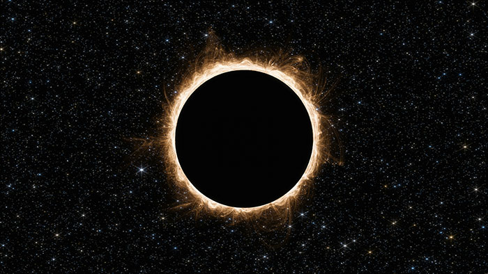 The Lights Are On But No One Is Home: 45 People Who Realized Their SO Is Kinda Stupid