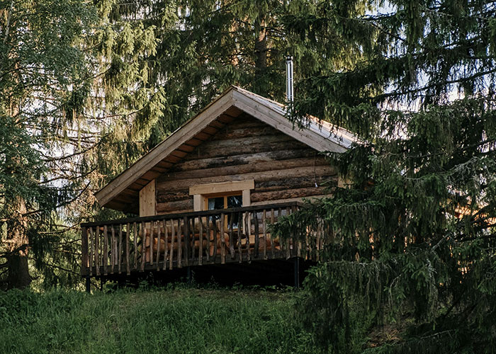 Rustic wooden cabin surrounded by tall pine trees in a forest, representing family cabin and stepbrother conflict.