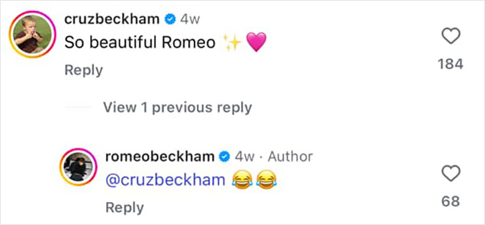 Instagram comments by Romeo and Cruz Beckham sharing a playful exchange amid family drama involving Nicola Peltz.