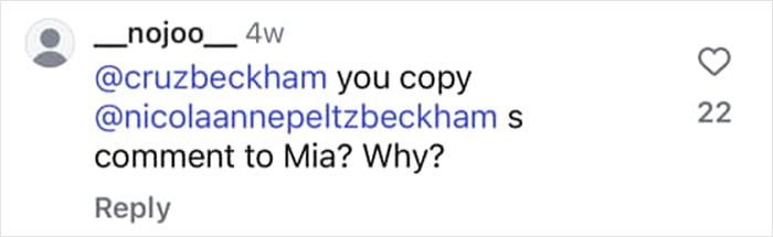 Instagram comment mentioning Cruz Beckham and Nicola Peltz amid Romeo and Cruz Beckham family drama.