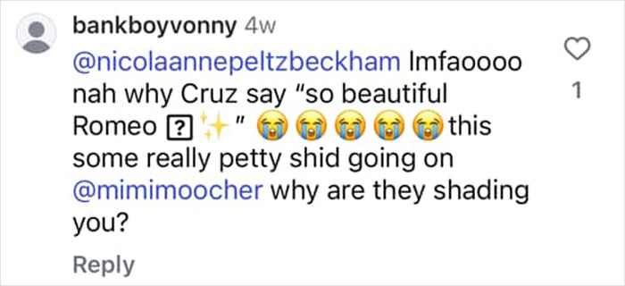 Instagram comment showing a user reacting to Romeo and Cruz Beckham's dig at sister-in-law Nicola Peltz amid family drama.