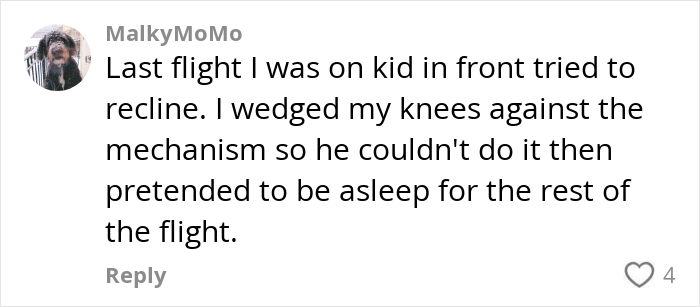 Comment about woman thinking she's right to complain about plane passenger reclining seat during flight, sparking debate.