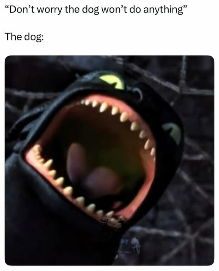 Sarcastic meme showing a wide-mouthed animated black dragon representing a dog contradicting the warning not to worry.