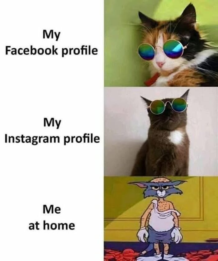 Sarcastic meme showing difference between Facebook, Instagram profiles and real self at home with cats and a cartoon character.